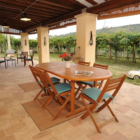 B&B Conca Del Pretore Loreto Aprutino Exterior foto