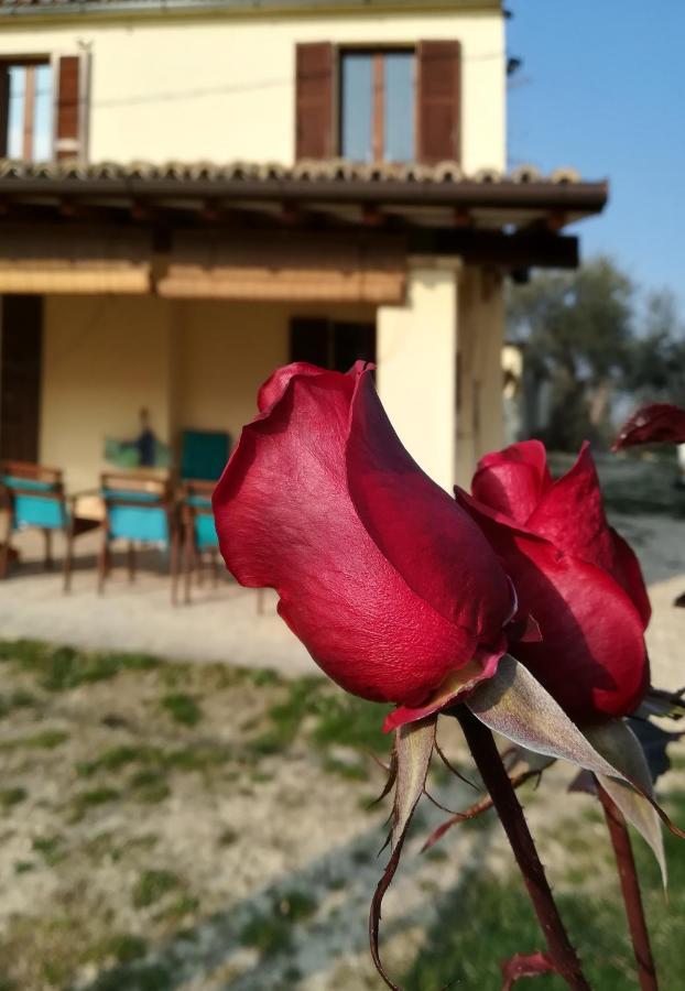 B&B Conca Del Pretore Loreto Aprutino Exterior foto