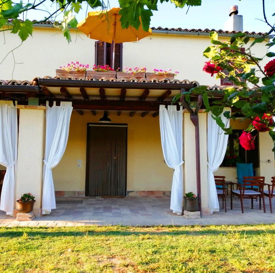 B&B Conca Del Pretore Loreto Aprutino Exterior foto